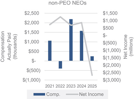 [MISSING IMAGE: bc_netincnonpeo-pn.jpg]