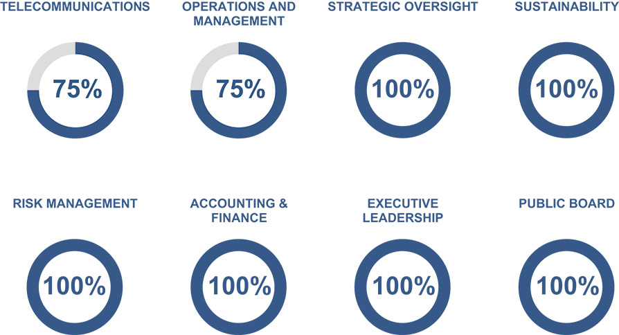 [MISSING IMAGE: pc_director-pn.jpg]